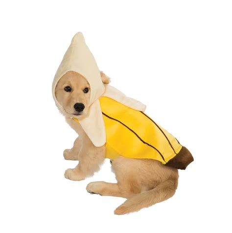 Banana Pet Costume - Pet Costume Center