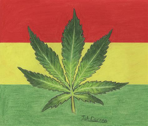 Rasta Ganja Leaf Drawing by Jah Darren | Fine Art America