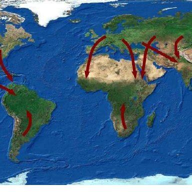 Examples of routes used by migrating birds. | Download Scientific Diagram