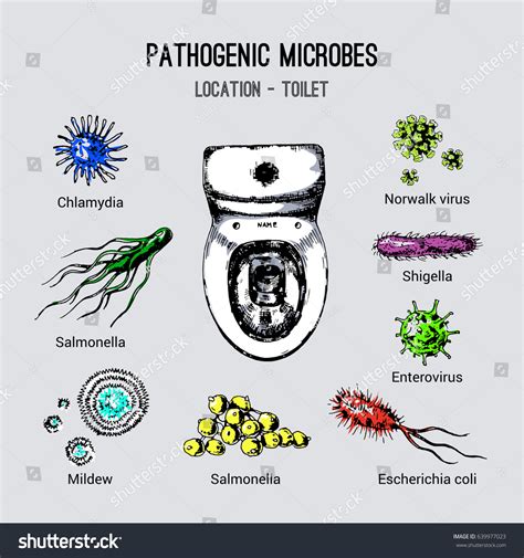 Vektor Stok Pathogenic Microbes Their Habitats Types Microorganisms ...