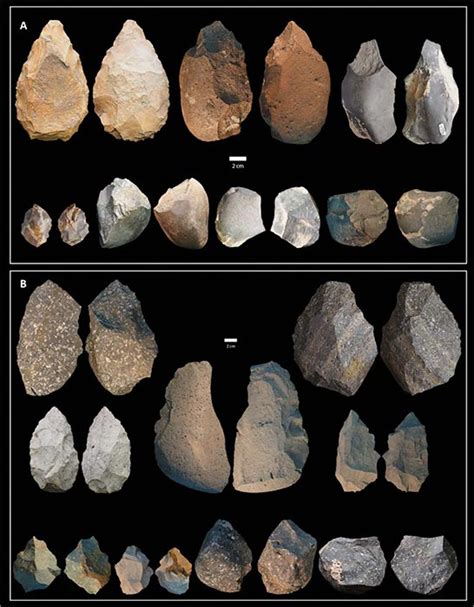 Homo Erectus Tools Challenge Single Species-Single Tech Thinking ...