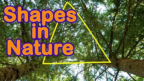 Shapes in Nature - YouTube