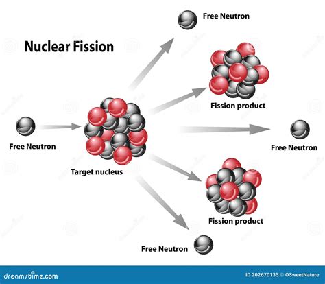 Nuclear Fission And Fusion Diagram