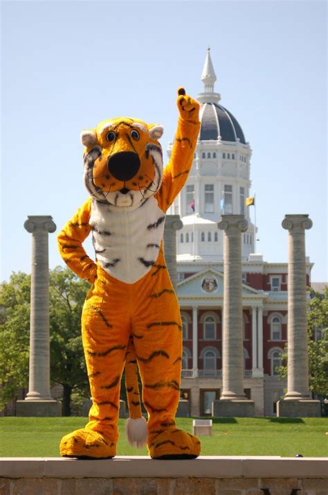 Mizzou.com - Download a Photo | Mizzou tigers, Missouri tiger, Missouri ...