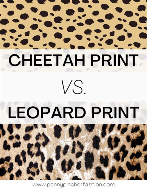 Cheetah vs Leopard Print - Penny Pincher Fashion Blog