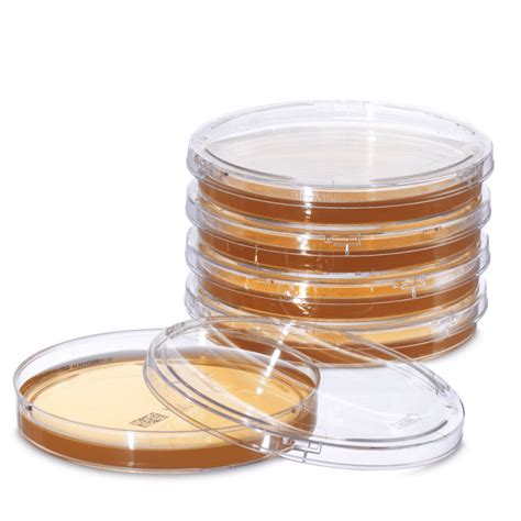 Active/Passive Air Plates - 90mm - Tryptic Soy Agar (TSA) - 10 pack ...