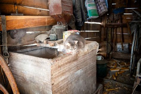 Old country farm barn interior | Stock image | Colourbox