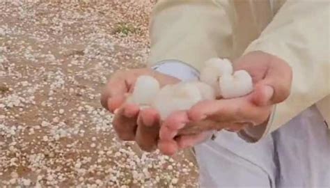 Rare hail in some areas of Saudi Arabia