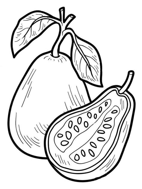 Guava coloring pages. Download and print Guava coloring pages.