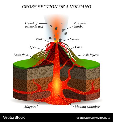 Volcano igneous eruption in the cross section Vector Image