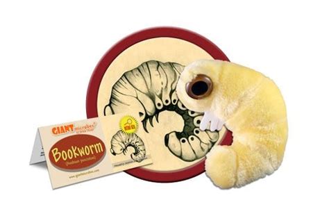 Giant Microbes Giantmicrobes Original Bookworm Book Worm Officially ...