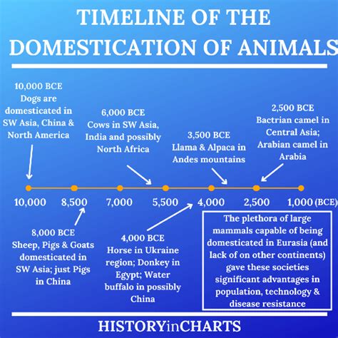 Domestication Of Animals Timeline