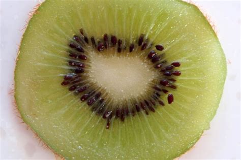 Kiwifruit pollination — Science Learning Hub