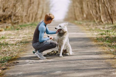 8 Dog Walking Apps for Pet Sitters to Find the Best Job in 2021 ...