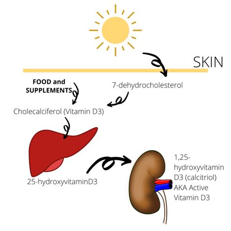 The Sunshine Vitamin - What's 'D' Deal?