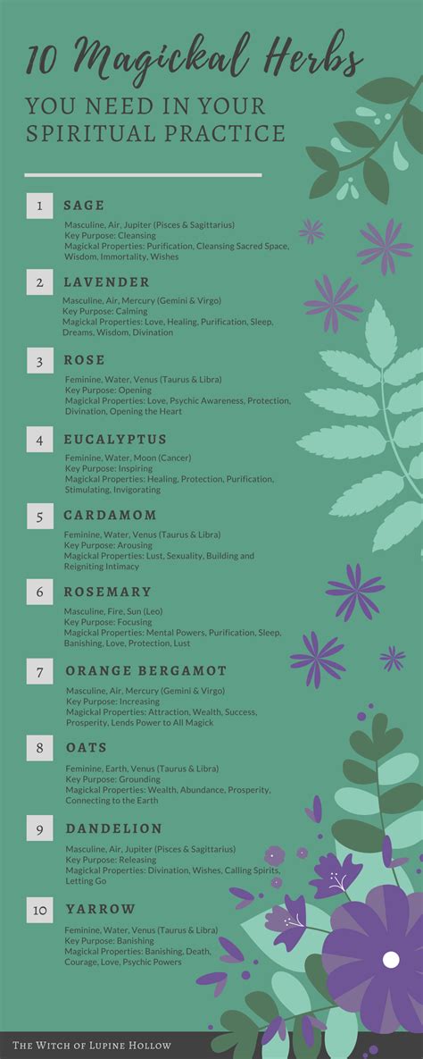 10 Magickal Herbs You Need in Your Spiritual Practice | The Witch of ...