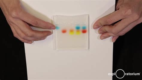 Gel Electrophoresis: Molecular Biology Science Activity | Exploratorium ...