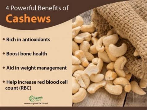 8 Powerful Benefits of Cashews | Organic Facts