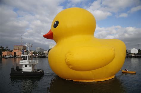 Giant inflatable rubber duck installation by Dutch artist Florentijn ...