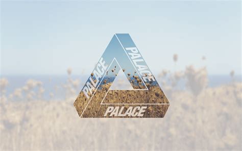 Být vzrušený Někdy jít do práce palace skateboards wallpapers logo ...