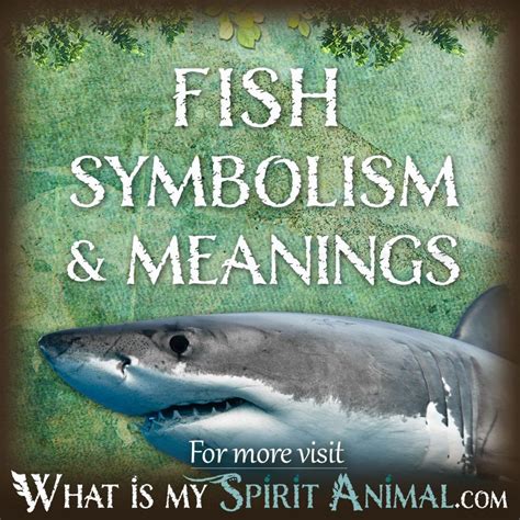 Fish Symbolism & Meaning | Spirit, Totem, & Power Animal