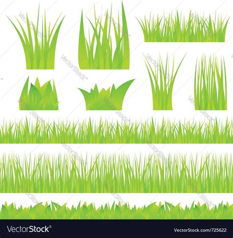 Green grass Royalty Free Vector Image - VectorStock Free Vector Images ...