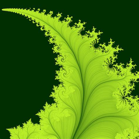 Fern Fractal Digital Art by Maade Tuule