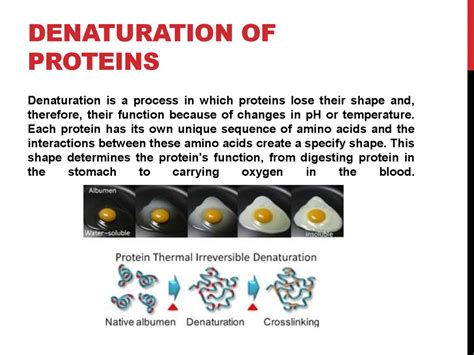 Protein denatu-ration - online presentation