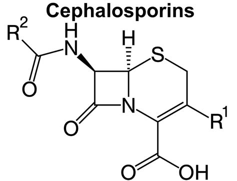 Cephalosporins antibiotics, cephalosporin generations, uses & side effects