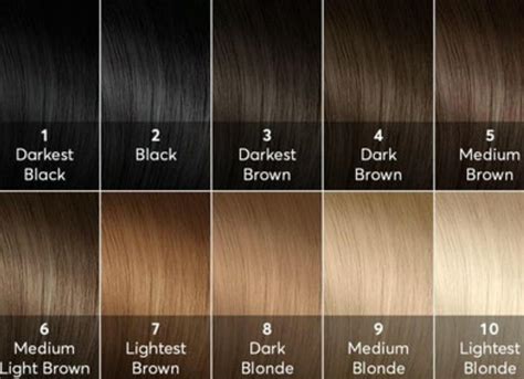 Pin by Melissa Mills on Hair color level chart | Hair levels, Hair ...