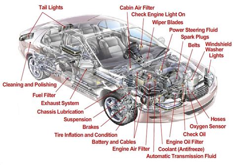 Exterior Car Body Parts Names Diagram