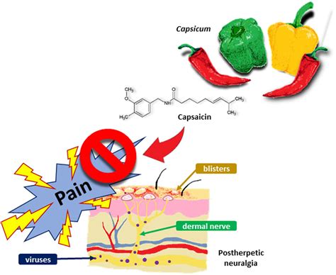 Can Capsaicin Really Lead To Blindness? Exploring The Potential Risks