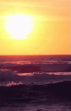 Sunny Beach GIF - Sunny Beach - Discover & Share GIFs