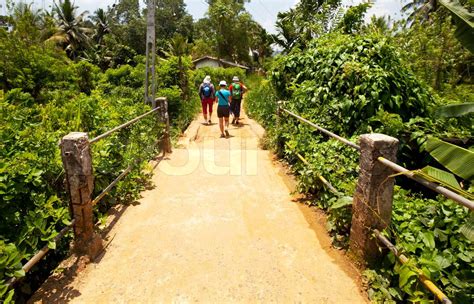 Hike on Sri Lanka | Stock image | Colourbox