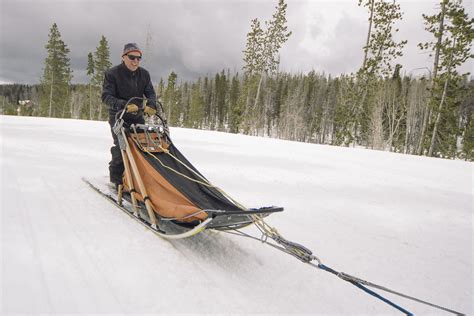 Gallery | Mountain Paws Dog Sledding