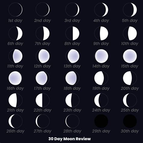 Moon phases. 30 Day Moon Review. Moon phases astronomy icon set, Vector ...