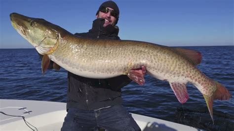 World Record Muskellunge