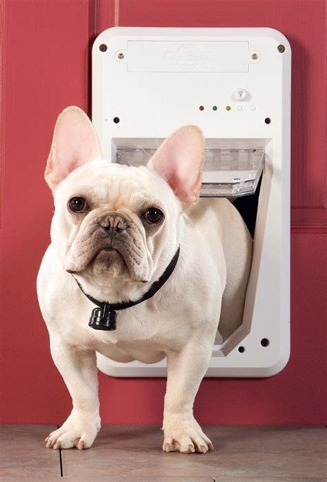 Petsafe Electronic Smart Door | Electronic Dog Door | Pet doors ...