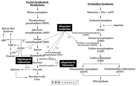 Azathioprine Mechanism Of Action Pdf - slidesharetrick