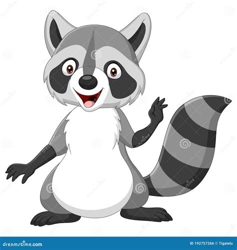 Happy Raccoon Cartoon Isolated On White Background Vector Illustration ...