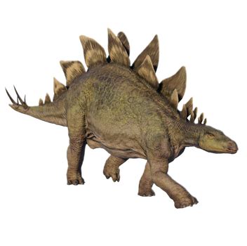 Stegosaurus | DinoDB | Jurassic World Evolution 2