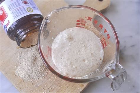 How to Proof Yeast | Your Homebased Mom | Proofing Yeast