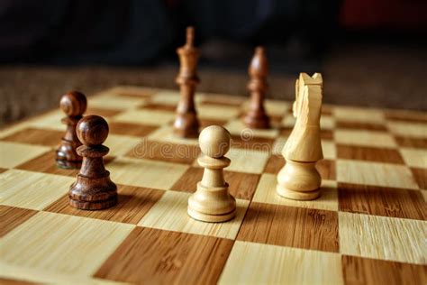 Chess endgame stock image. Image of king, chessboard - 103036321