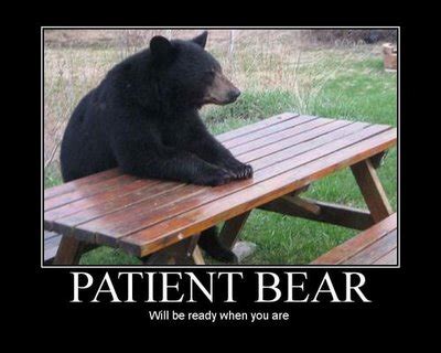 Funny Bear Quotes. QuotesGram