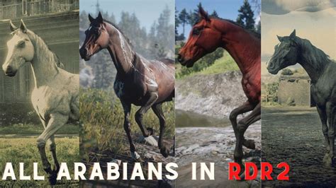 RDR2 | All Arabian horses Location in Red Dead Redemption 2 - YouTube