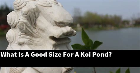 What Is A Good Size For A Koi Pond? [2024 Guide] - Gold Koi Fish