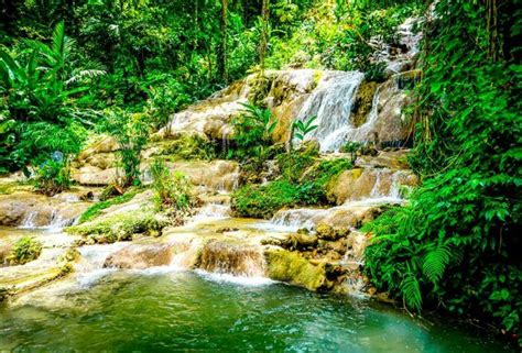 磊 Top 10 things to do in Jamaica | Rainforest Adventure