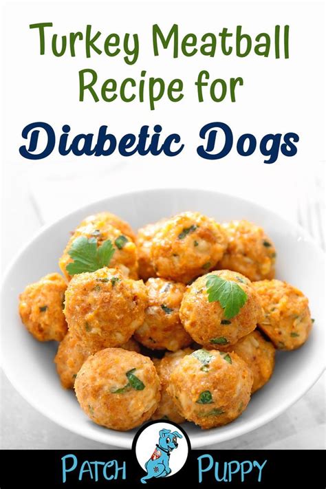 15 Great Diabetic Dog Treat Recipes – Easy Recipes To Make at Home