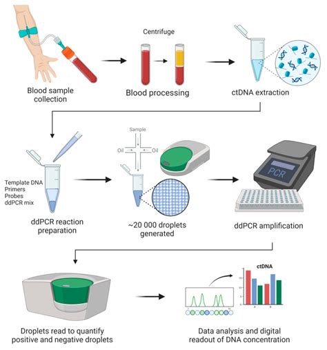 Digital Droplet PCR Accurately Quantifies SARS-CoV-2 Viral, 57% OFF