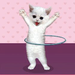 Hula Hoop GIF - Find & Share on GIPHY